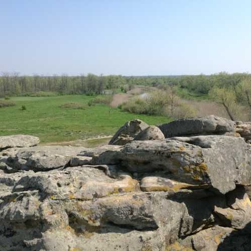 Каменная могила, Украина