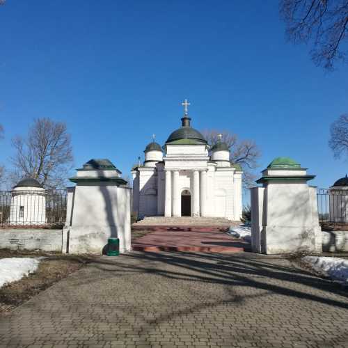 Дворец Тарновских, Ukraine