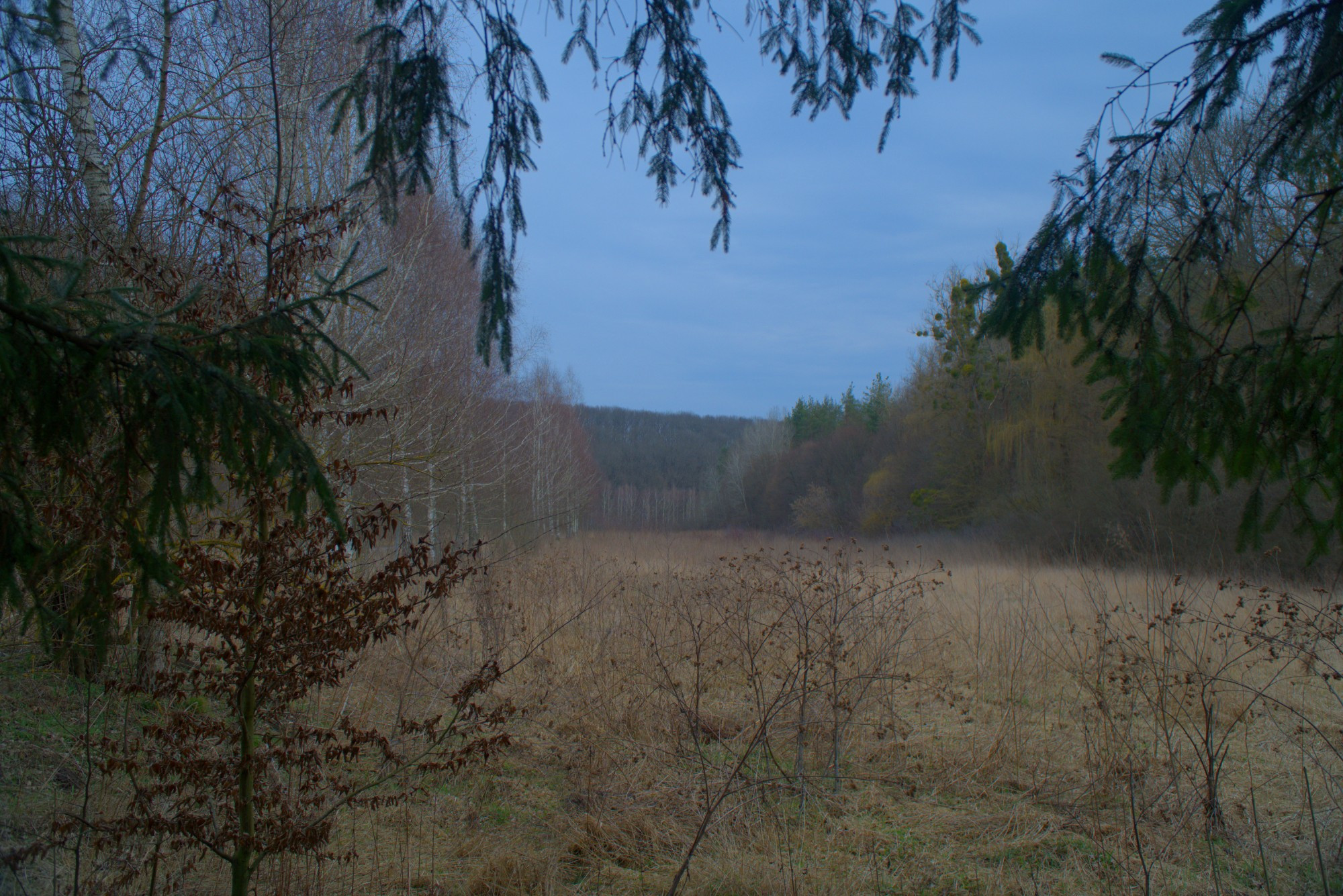 Kholodnyi Yar, Ukraine