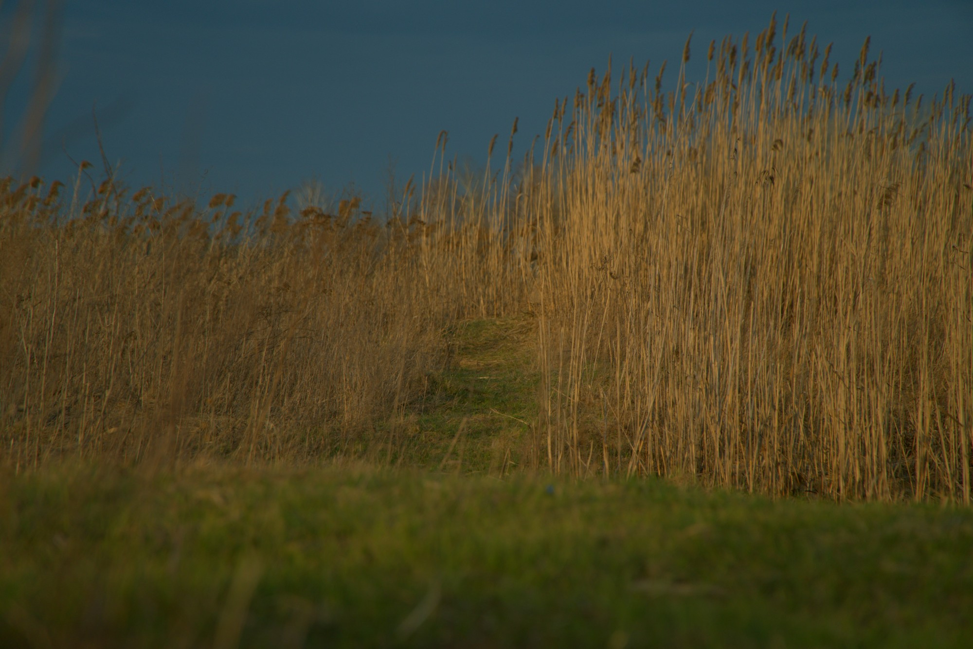 Змиёв, Ukraine