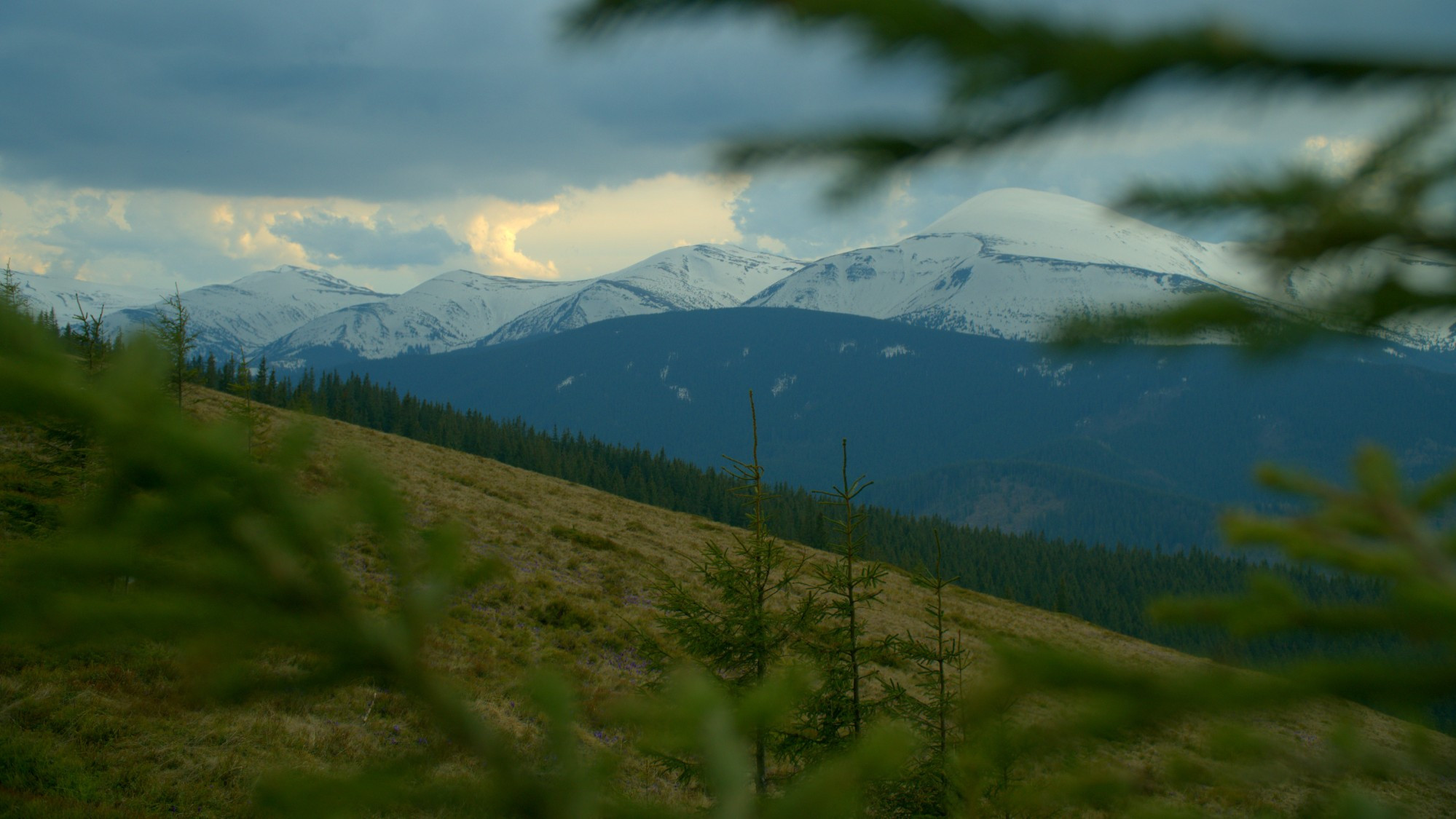 Ворохта, Украина