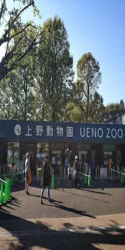 Зоопарк Уэно, Япония