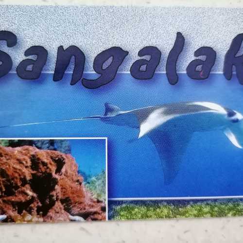 Sangalaki, Индонезия