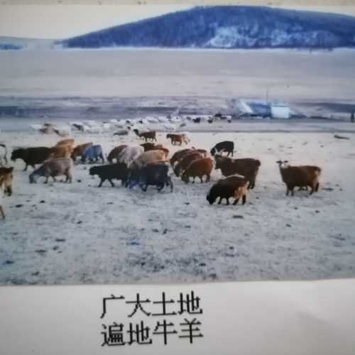 Ulan Bator, Mongolia