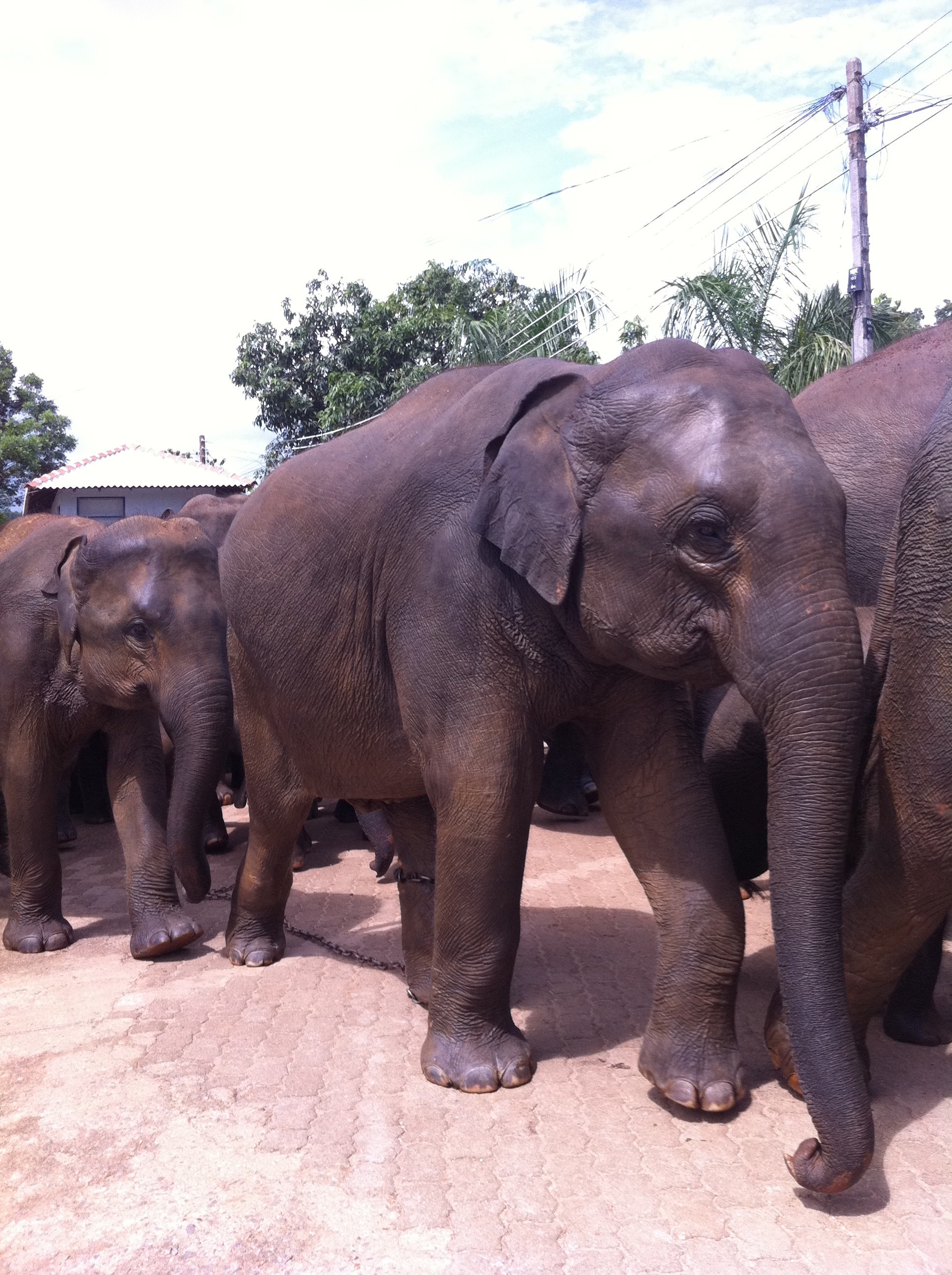 Sri Lanka