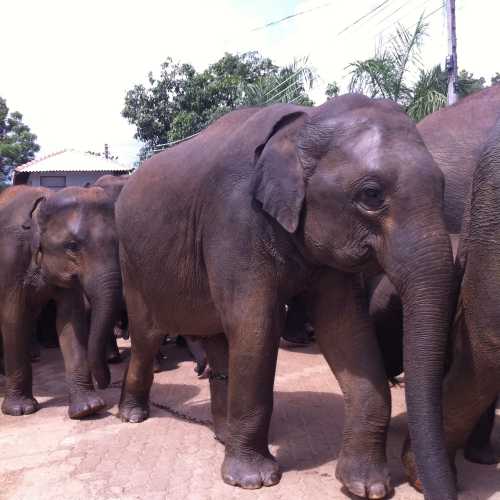 Sri Lanka