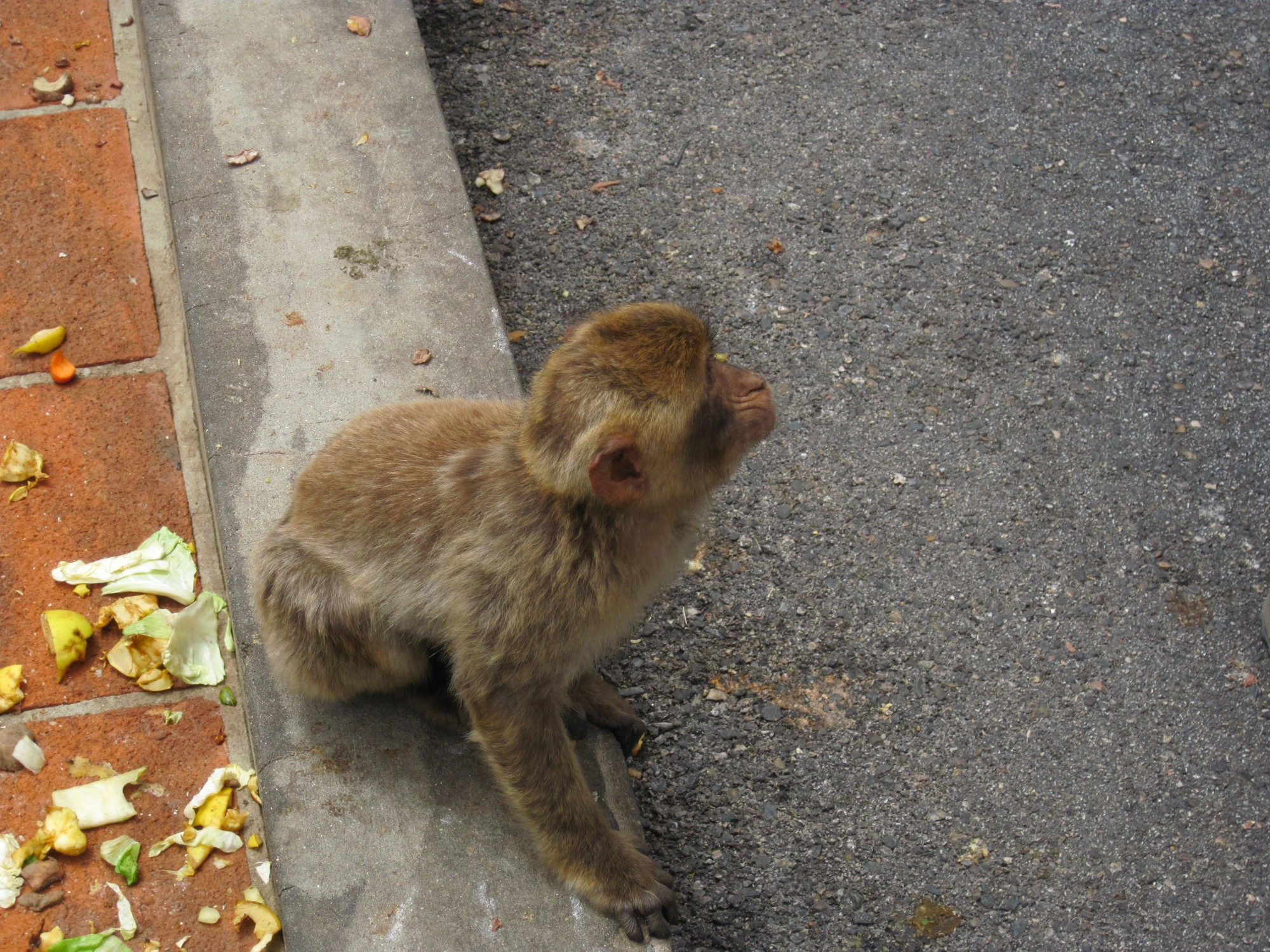 Gibraltar