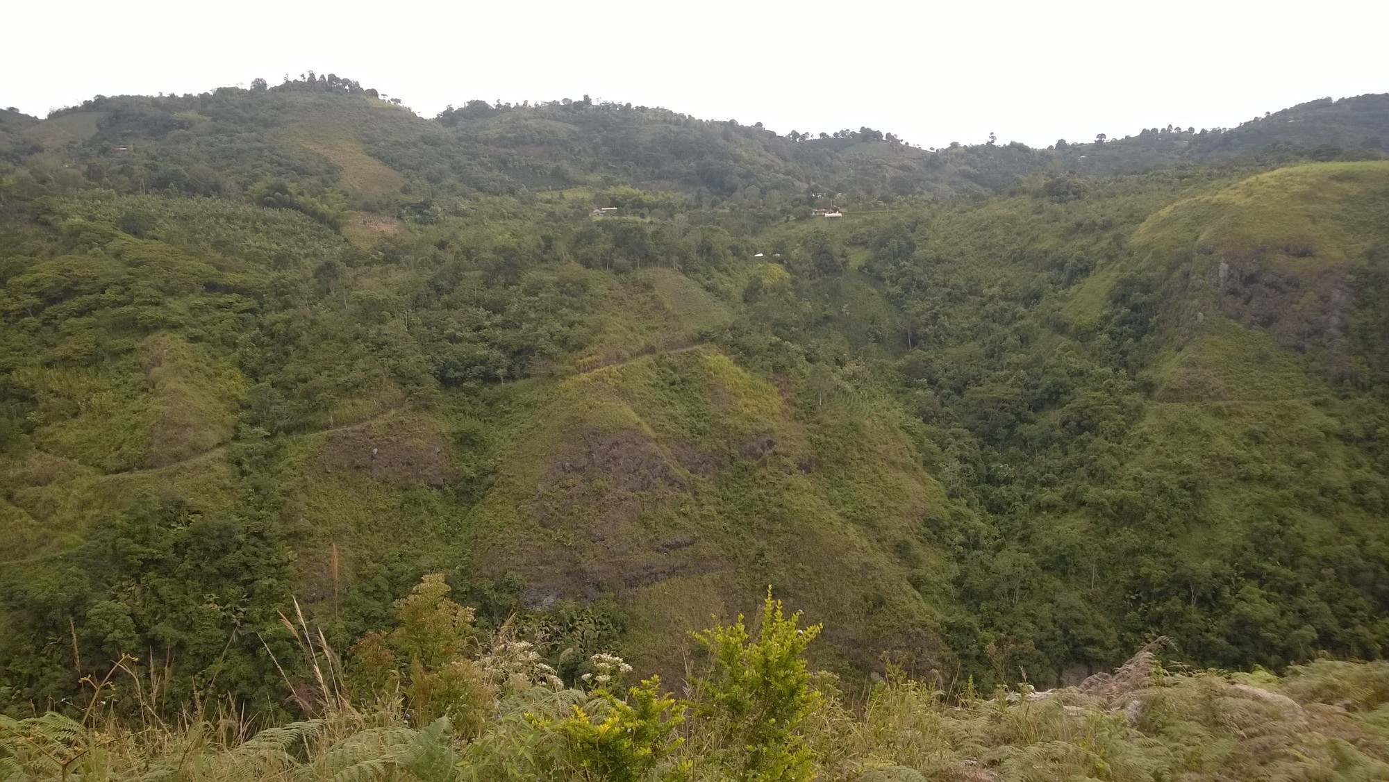 Colombia