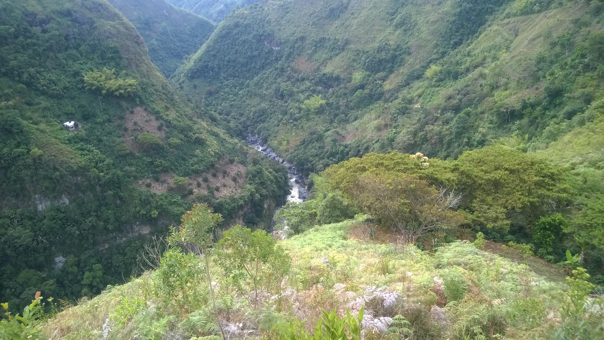 Colombia