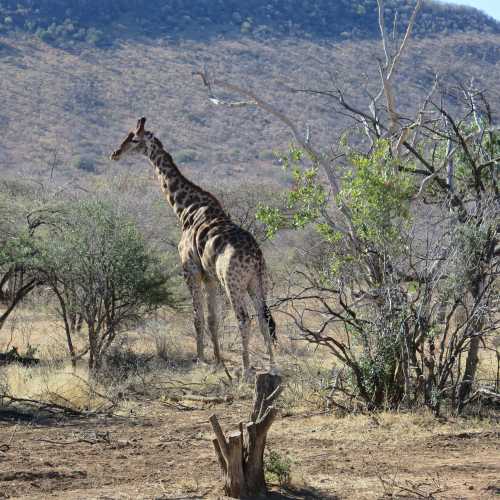 Botswana