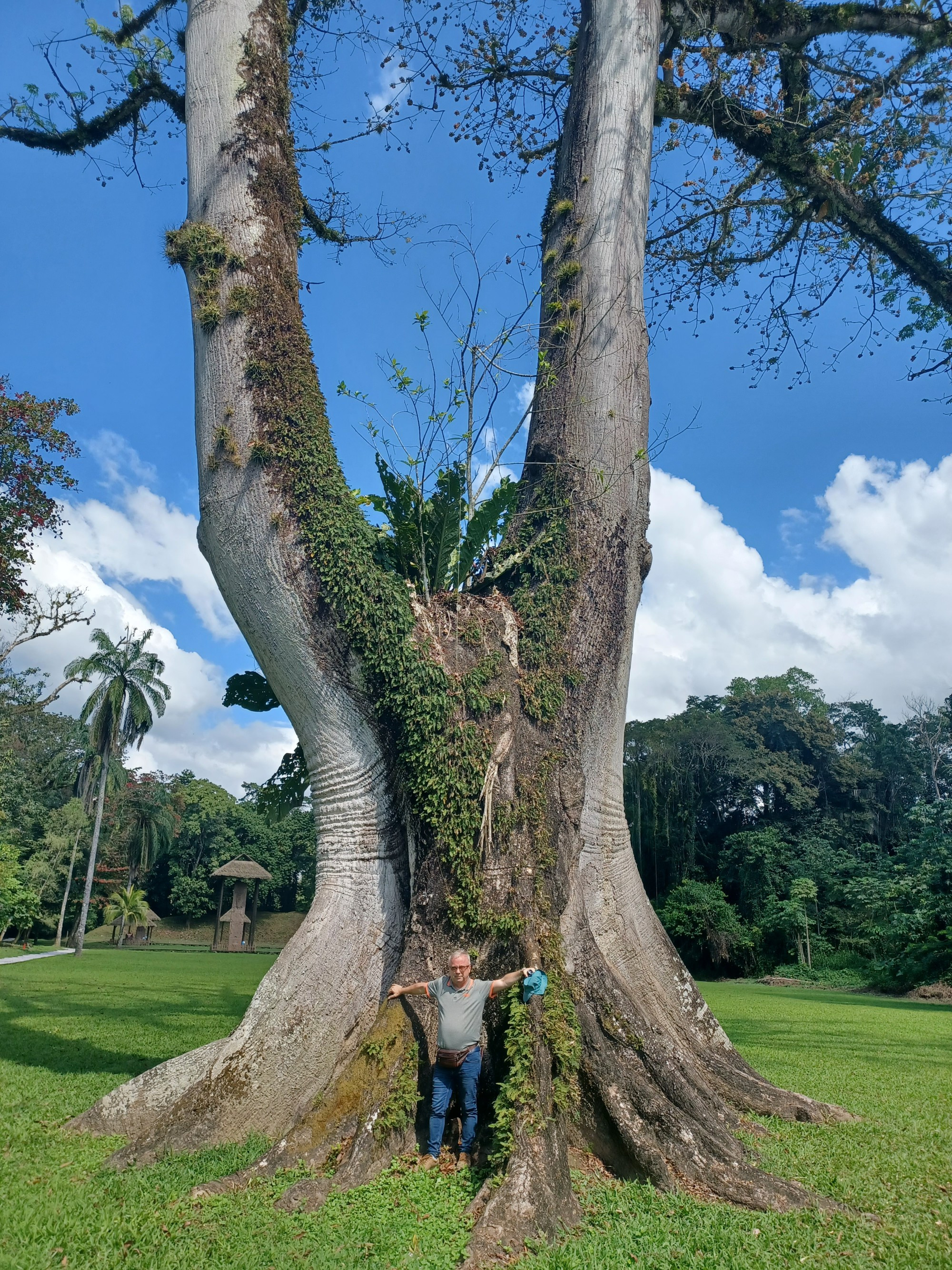 Guatemala