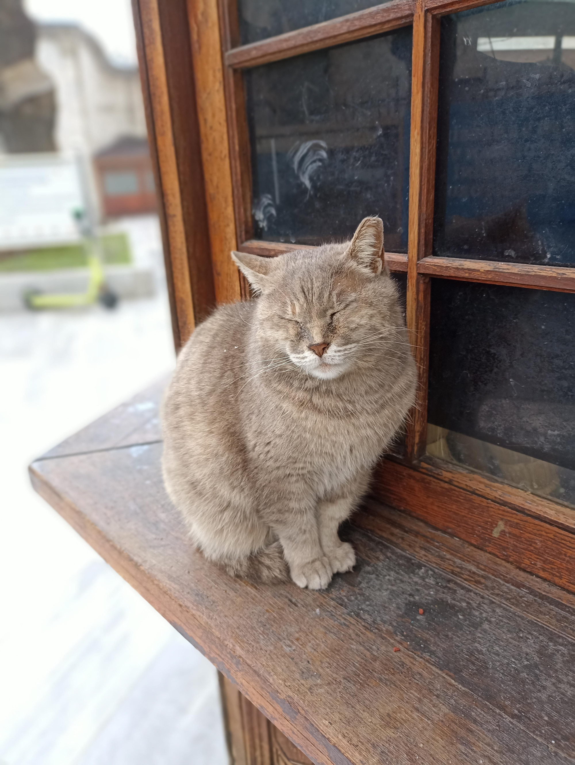 Istanbul, Turkey