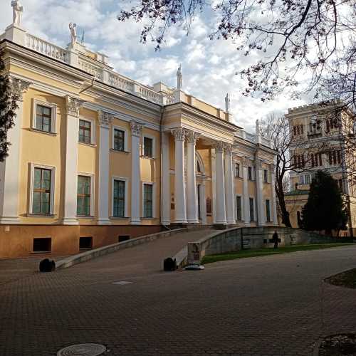 Дворец Румянцевых и Паскевичей photo