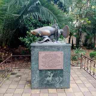 Памятник рыбке Гамбузии