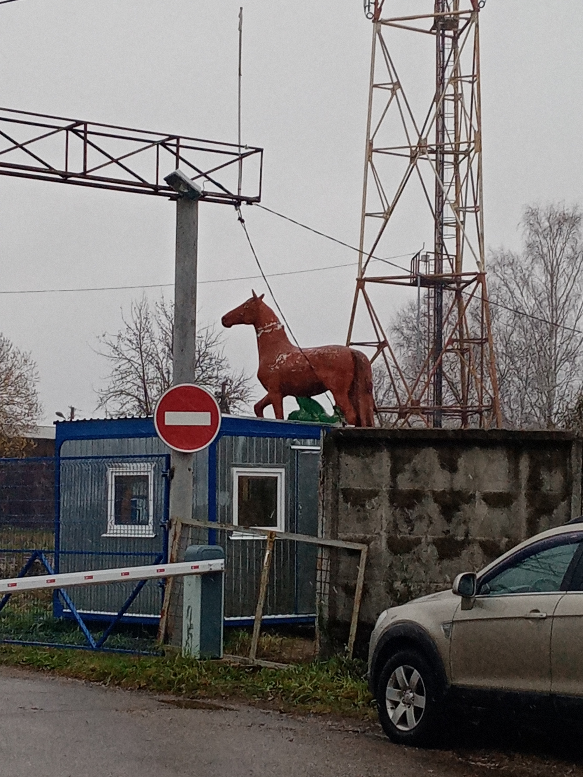 Конь, Россия