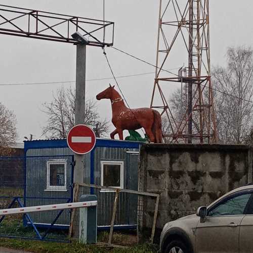 Конь, Russia