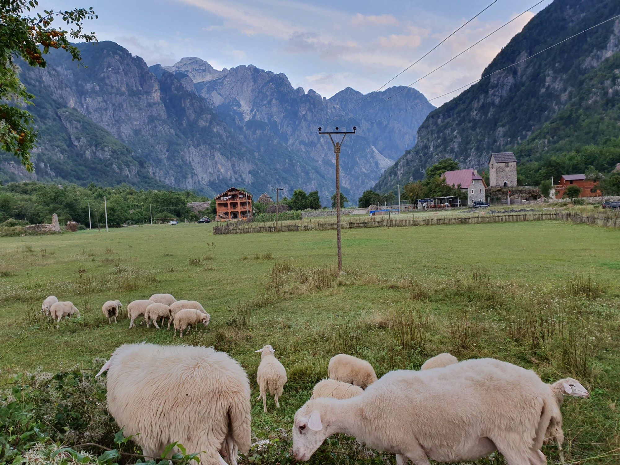 Albania