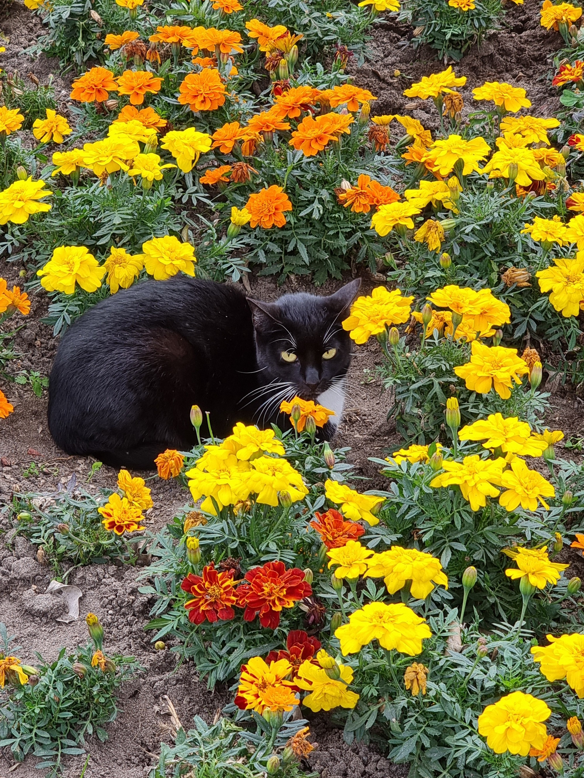 Lima, Peru