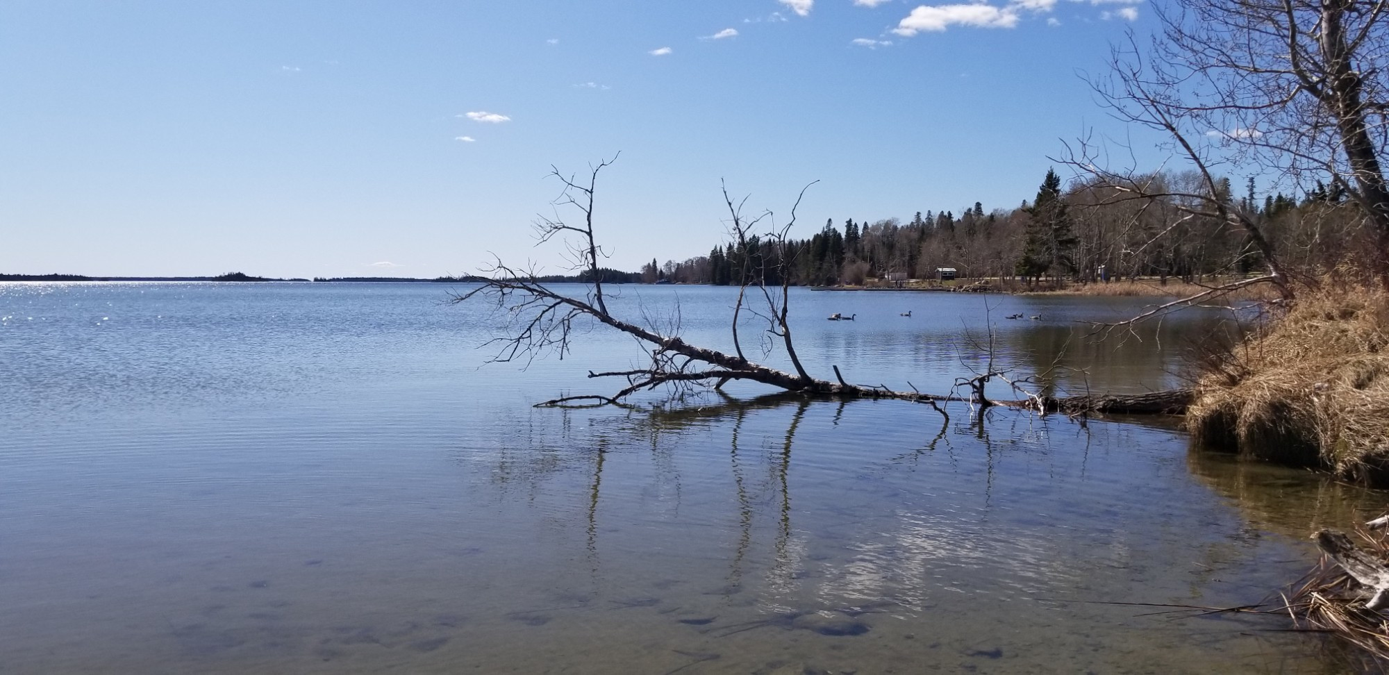 Cranberry Portage, Canada