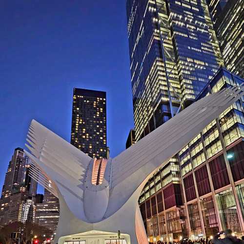 The Oculus Center in NYC