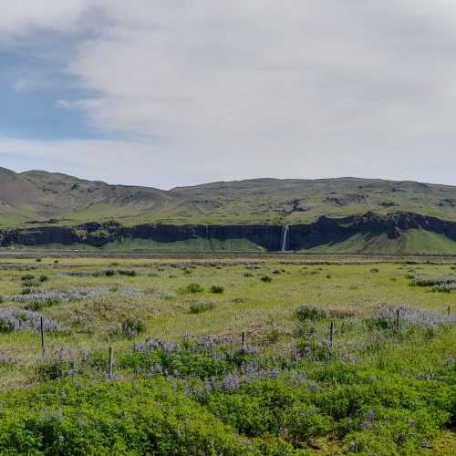 Hvolsvollur, Iceland