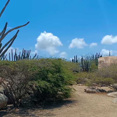 Ayo Rock Formations, Aruba