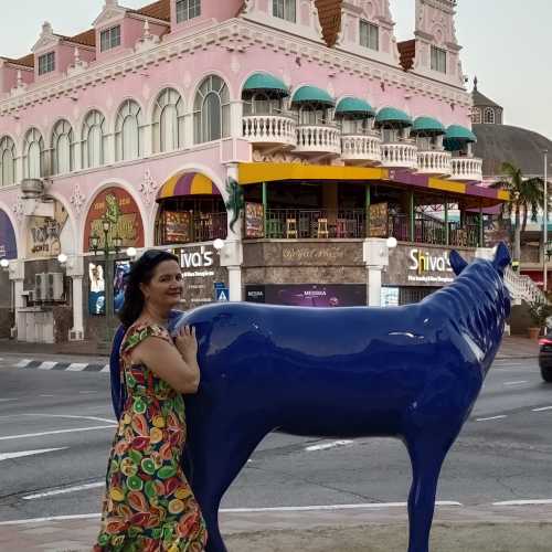 Blue Horse, Aruba