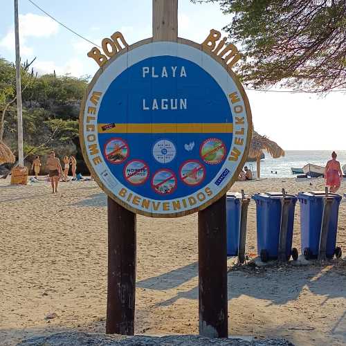 Playa Lagun, Антильские о-ва