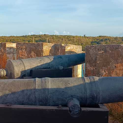 Fort Beekemburg, Антильские о-ва