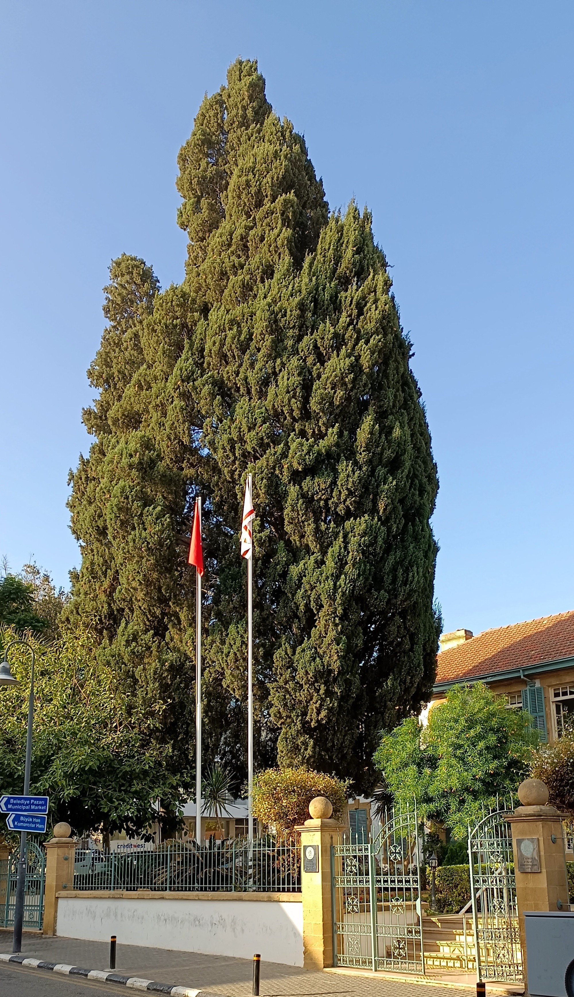 In front of government house