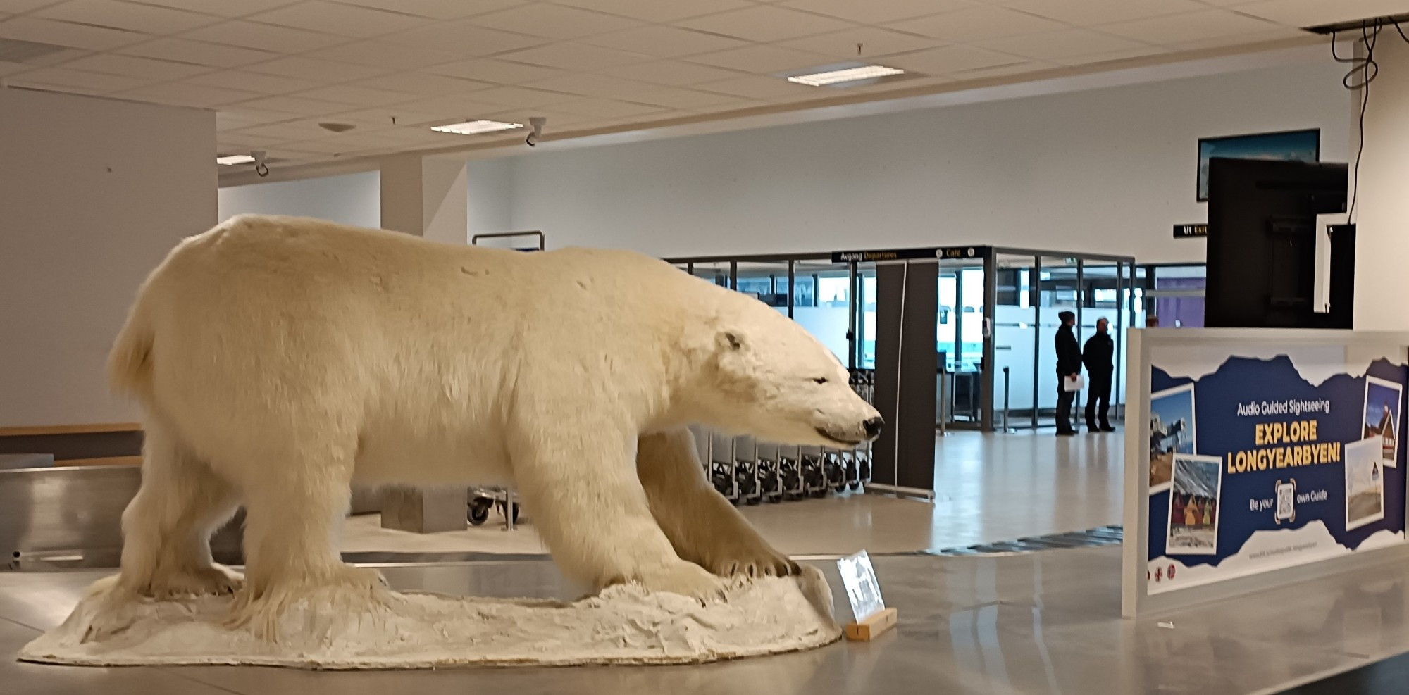 Polar Bear, Норвегия