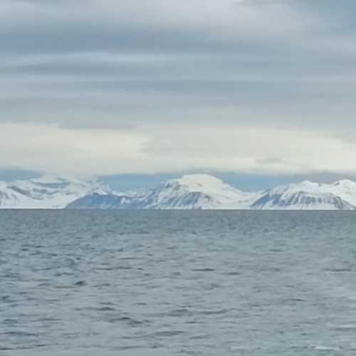 Moffen Island, Арктика