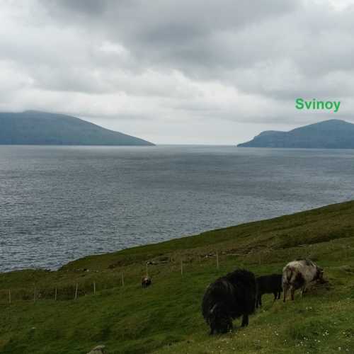 Svinoy Island, Фарерские о-ва