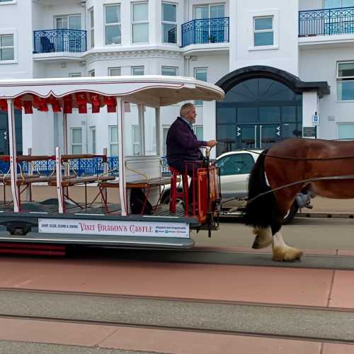 Horse Tramway, Мэн о-в