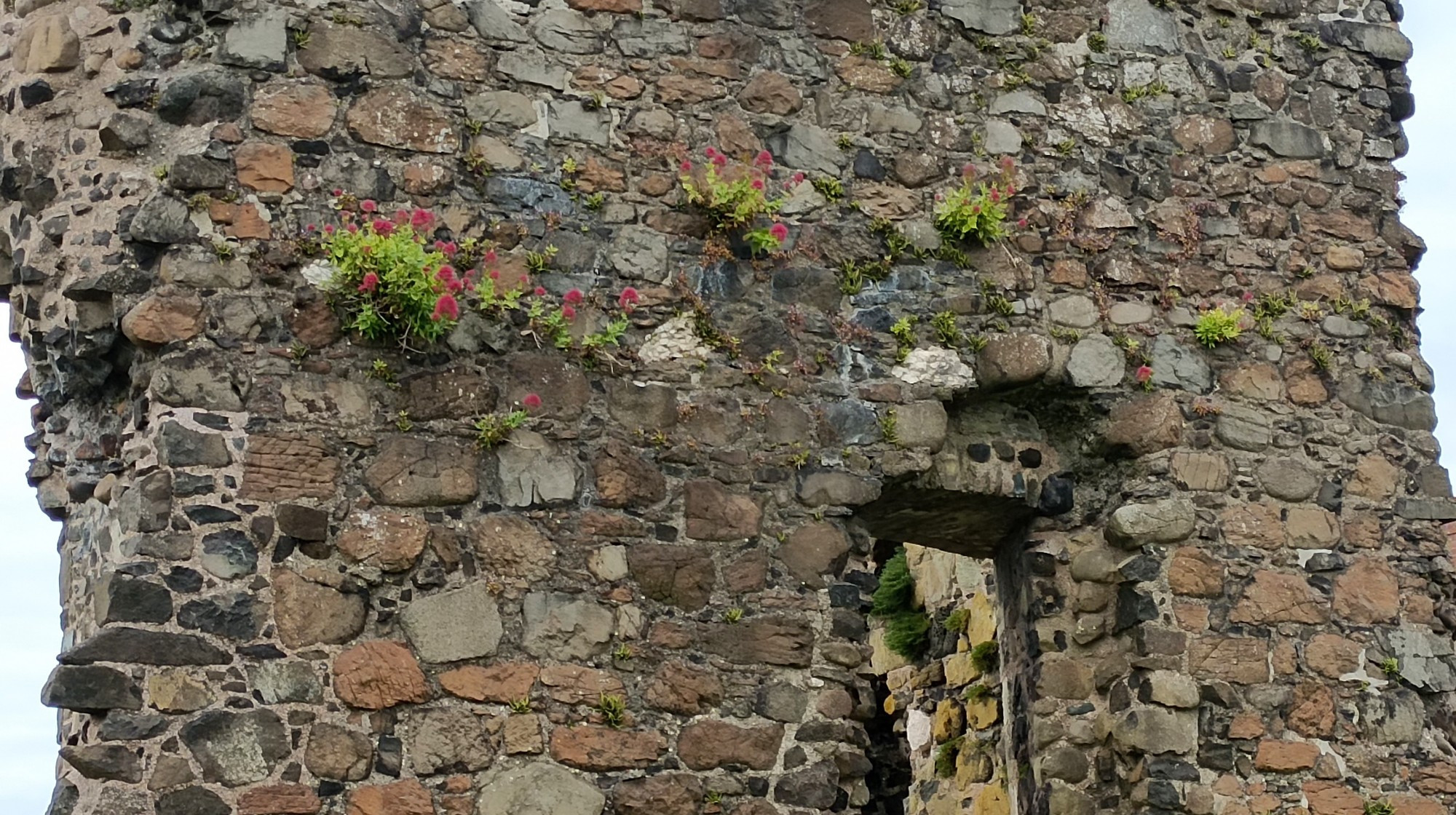 Olderfleet Castle, United Kingdom