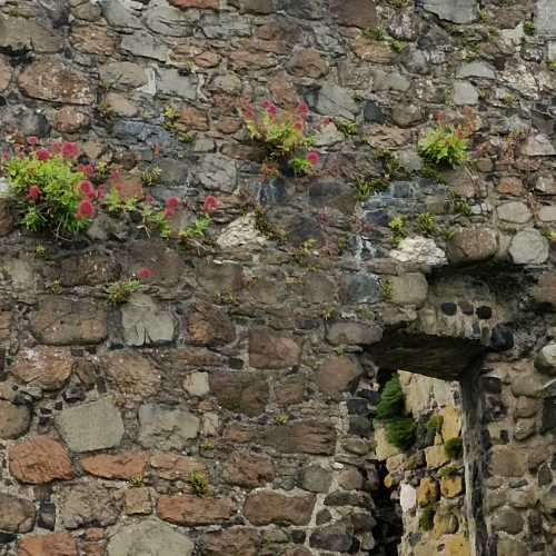 Olderfleet Castle, United Kingdom