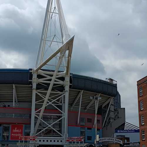 Principality Stadium, Великобритания