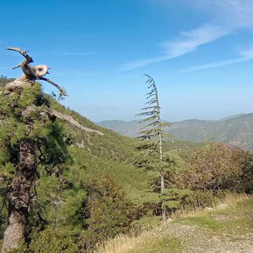 Troodos National Forest Park, Кипр