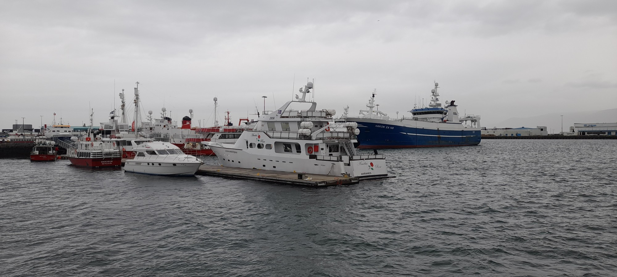 Harbour, Iceland