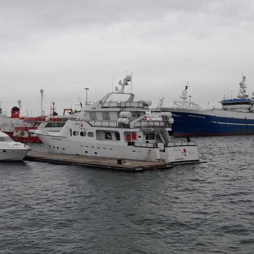 Harbour, Iceland