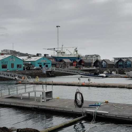 Harbour, Iceland