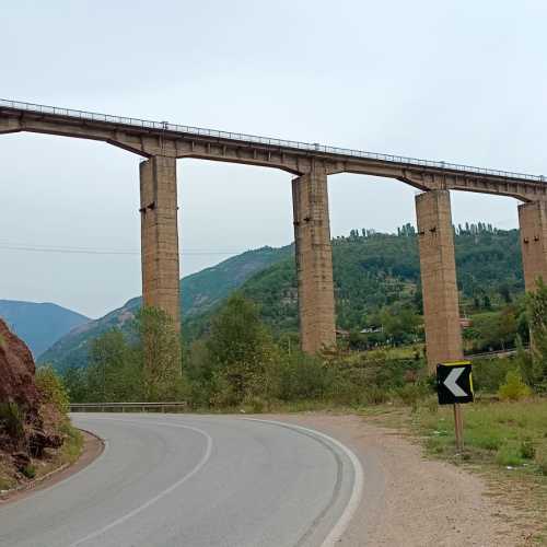 Ura e Bushtricës, Albania