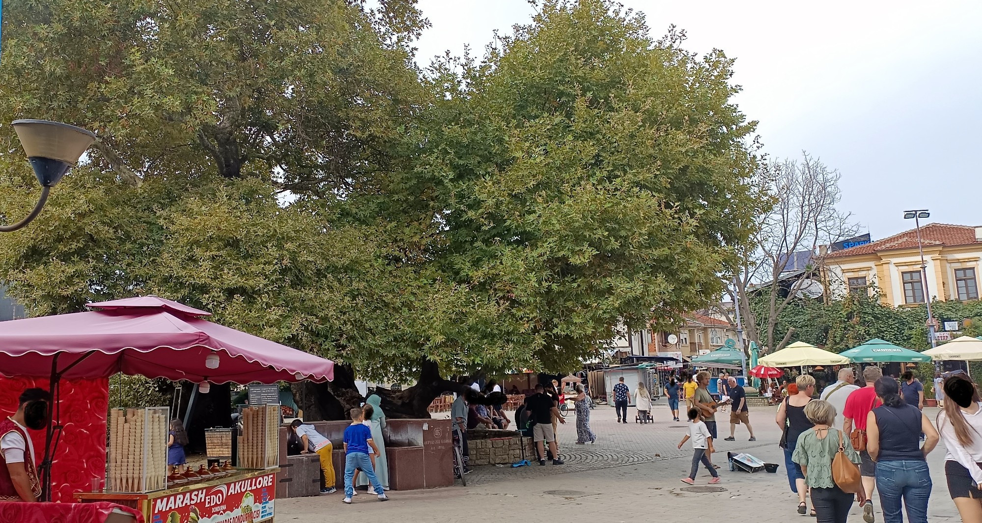 Chinar Tree, Северная Македония