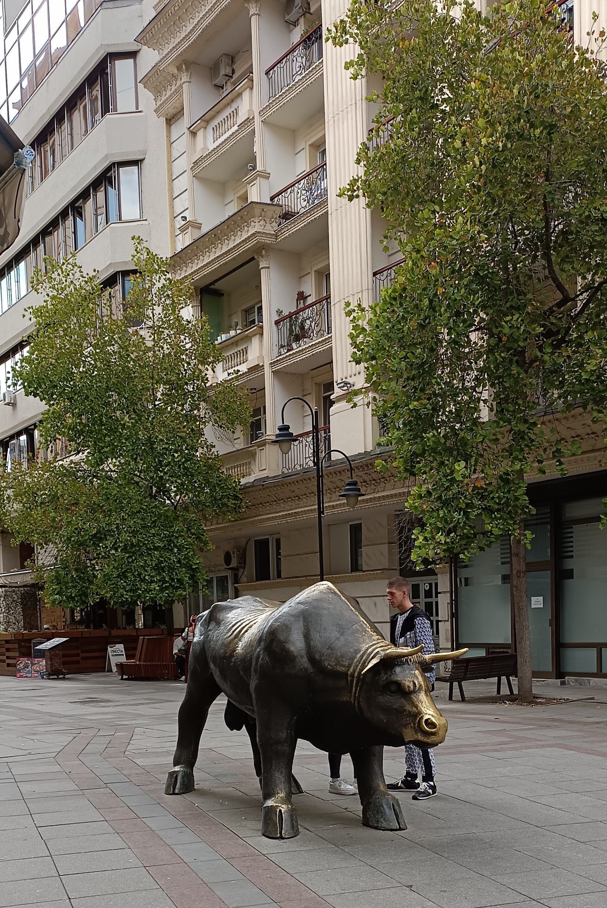 Luj Paster Street Bull, North Macedonia