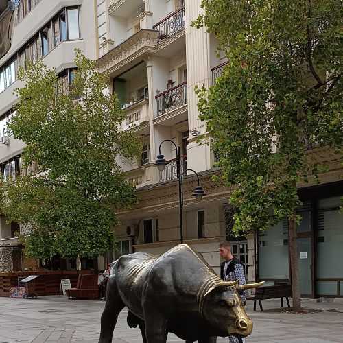 Luj Paster Street Bull, North Macedonia