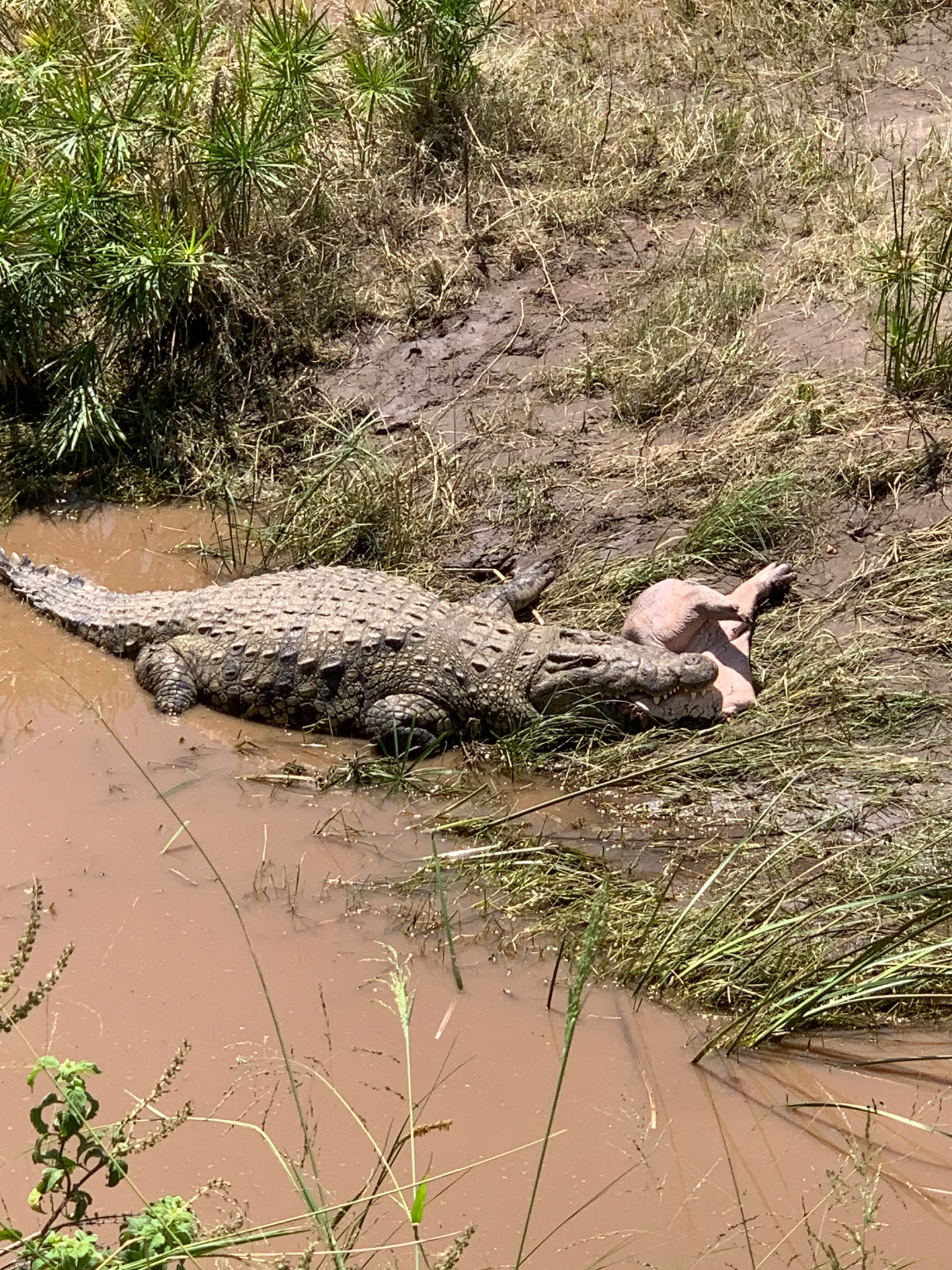 Tanzania