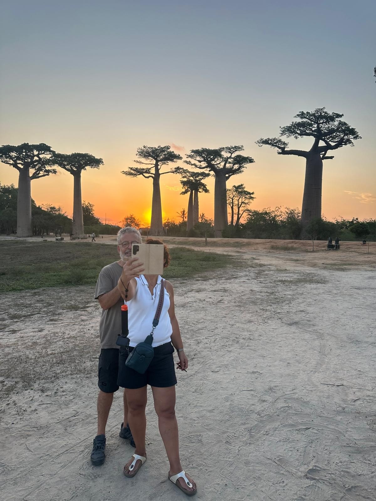 Avenue of the Baobabs, Madagascar