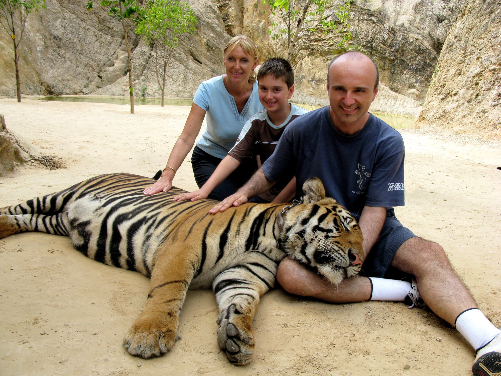 Tiger Temple, Thailand