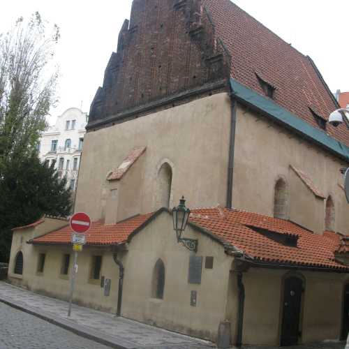 Старонова синагога, Чехия