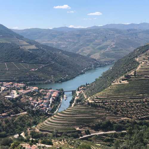 Douro Valley photo
